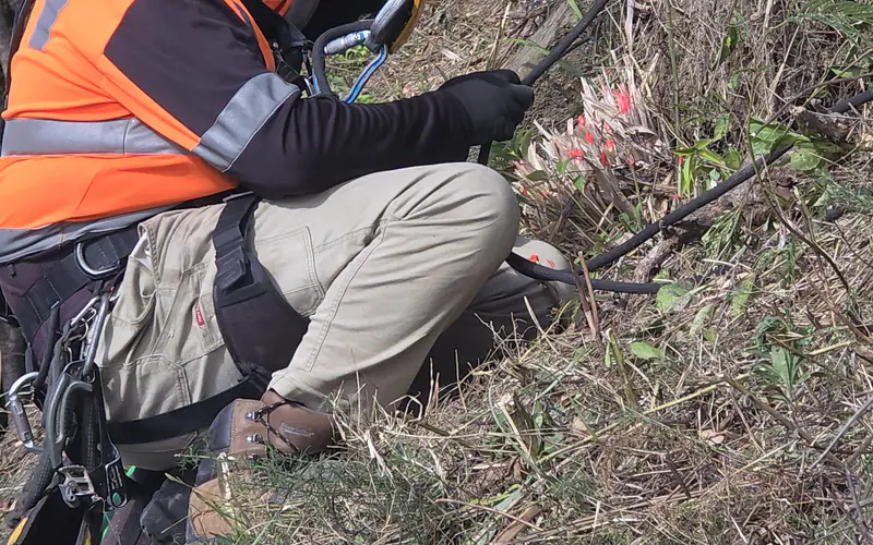 Rope-access technician inspecting vegetation and stabilisation components on a slope