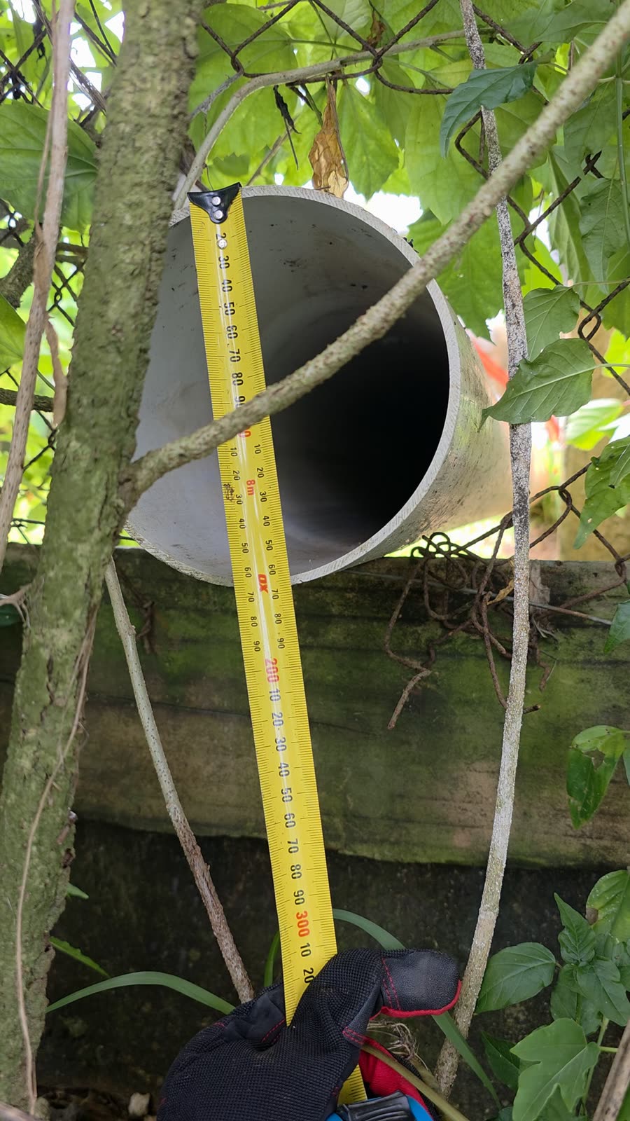 Ground condition documentation in tropical terrain